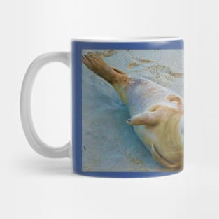 Seal of approval Mug